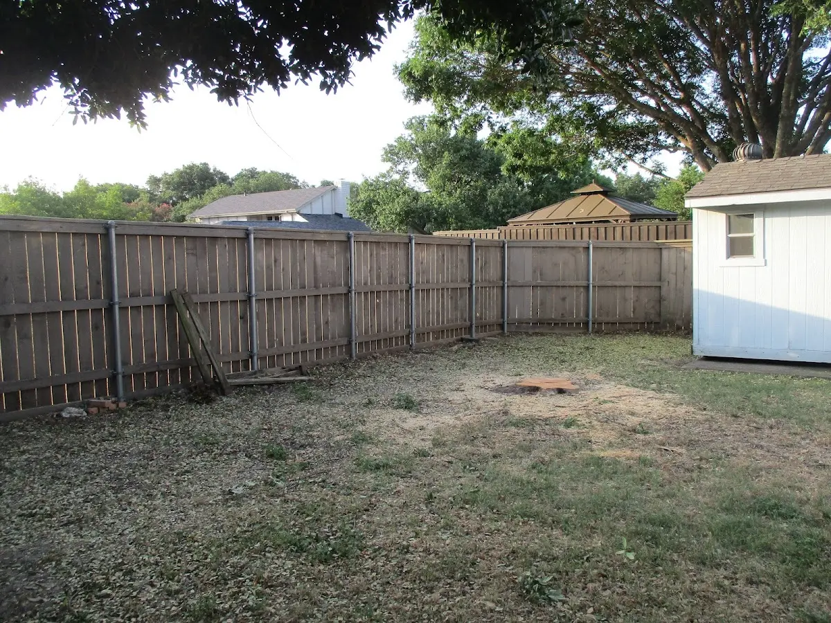 Cleared yard after professional tree removal in Stanton