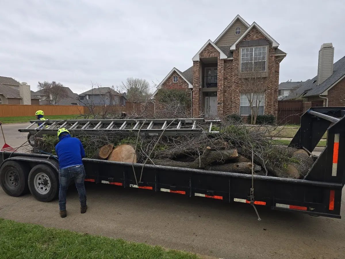 Expert Tree Fertilization with proper safety equipment in Stanton
